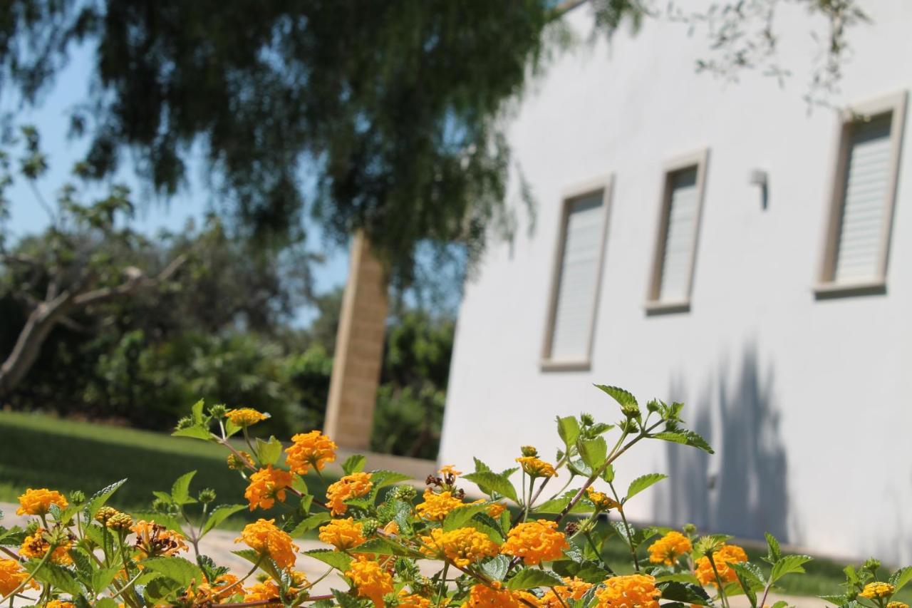 Paloma B&B Porto Cesareo Eksteriør billede